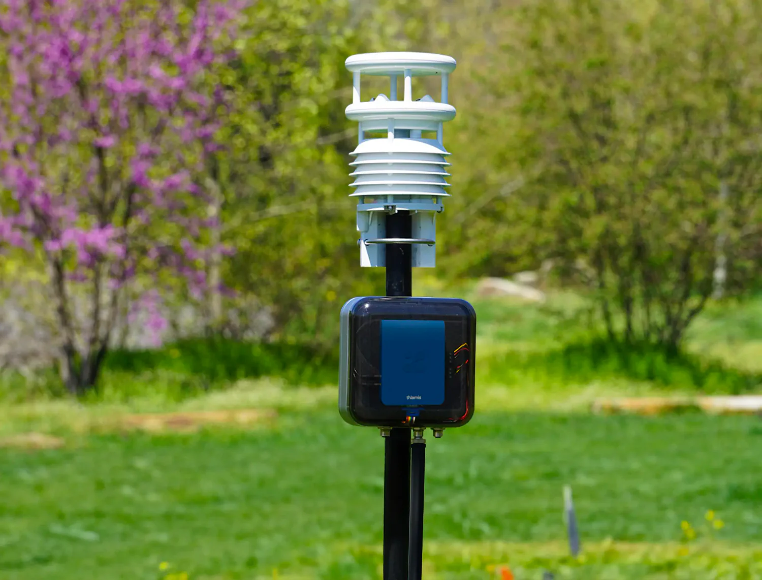 Thiamis in a weatherproof box on a pole below a compact weather station.