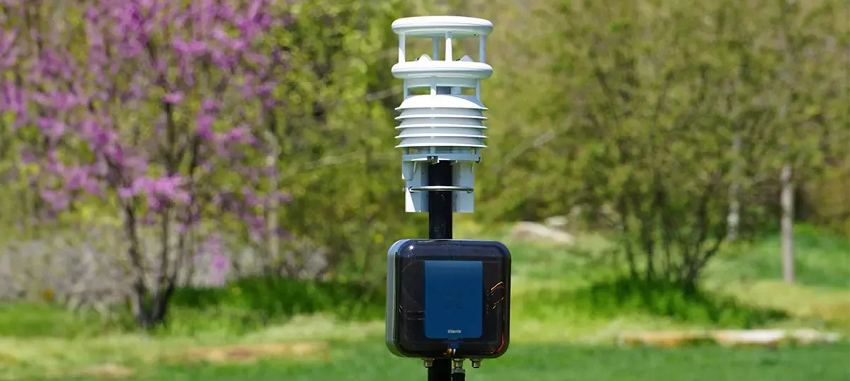 Aethair Thiamis in its outdoor enclosure on a post beneath a compact weather sensor, among grass and trees.
