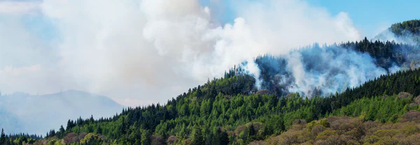 Wildfire smoke air quality monitoring for communities and first responders.