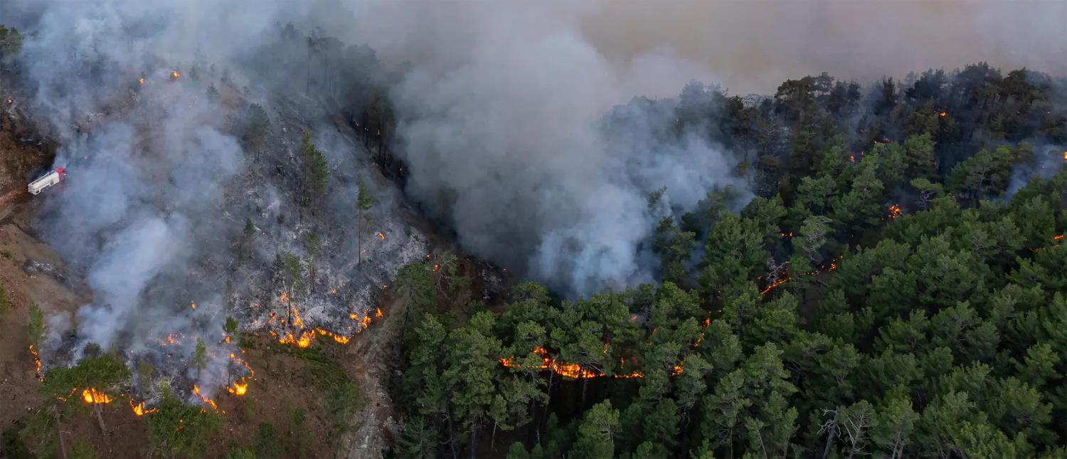 Aerial view of a wildfire burning through a pine forest, with a fire truck on a track at the edge of the smoke.