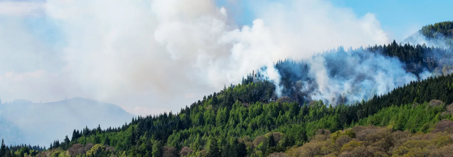 Smoke rising from a wildfire on a forested hillside under a blue sky.